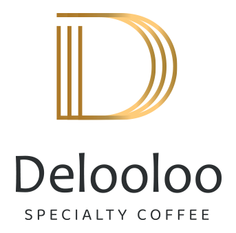 Logo Delooloo
